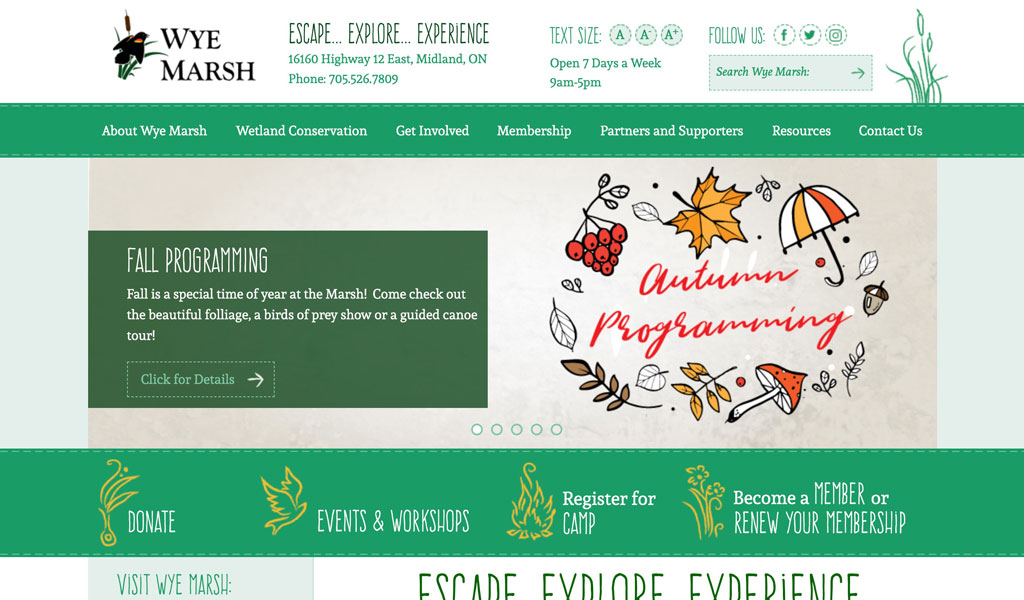 Wye Marsh website screenshot