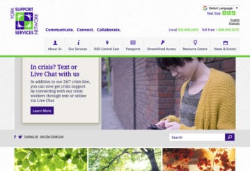 York Support Services Network website screenshot