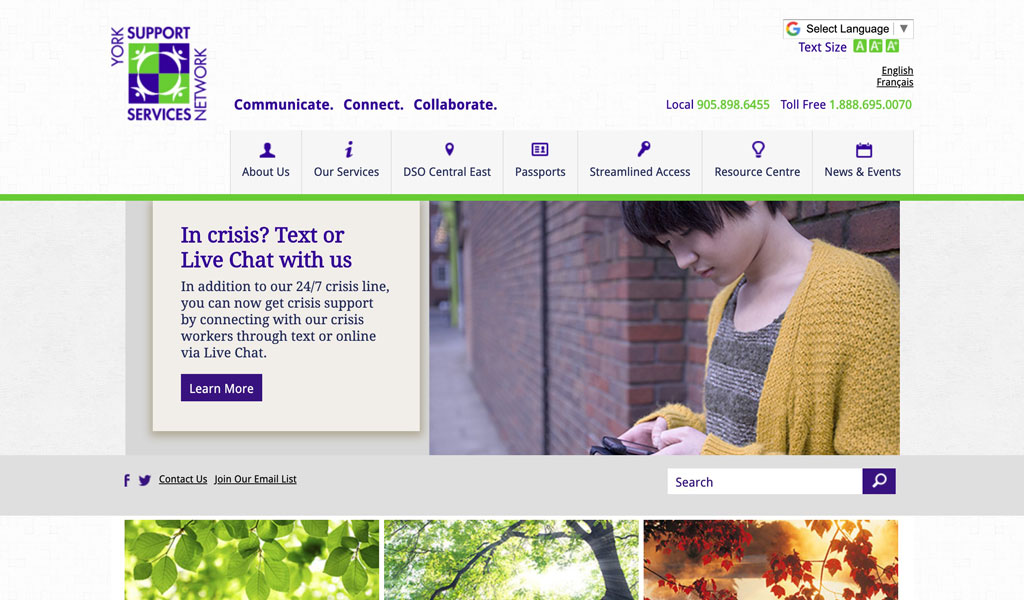 York Support Services Network website screenshot