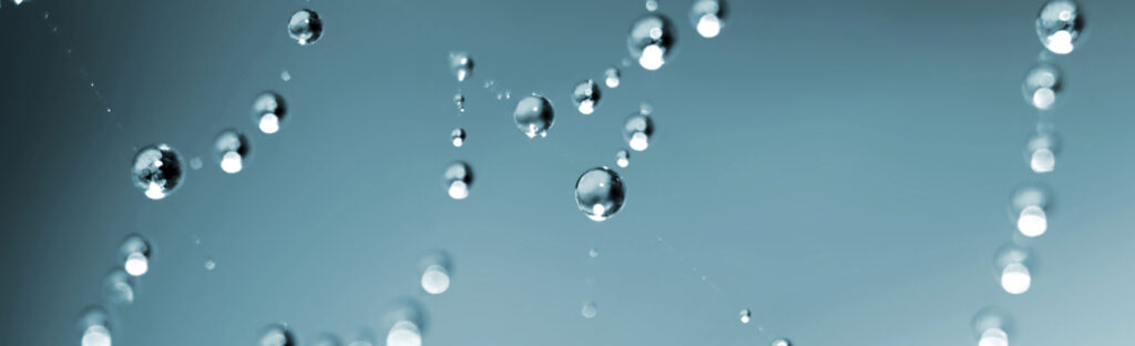 Dew on spider silk