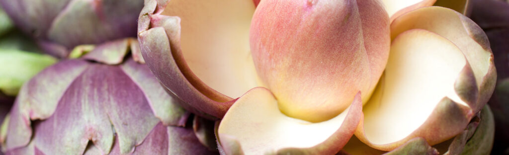 Macro photography of flower petals